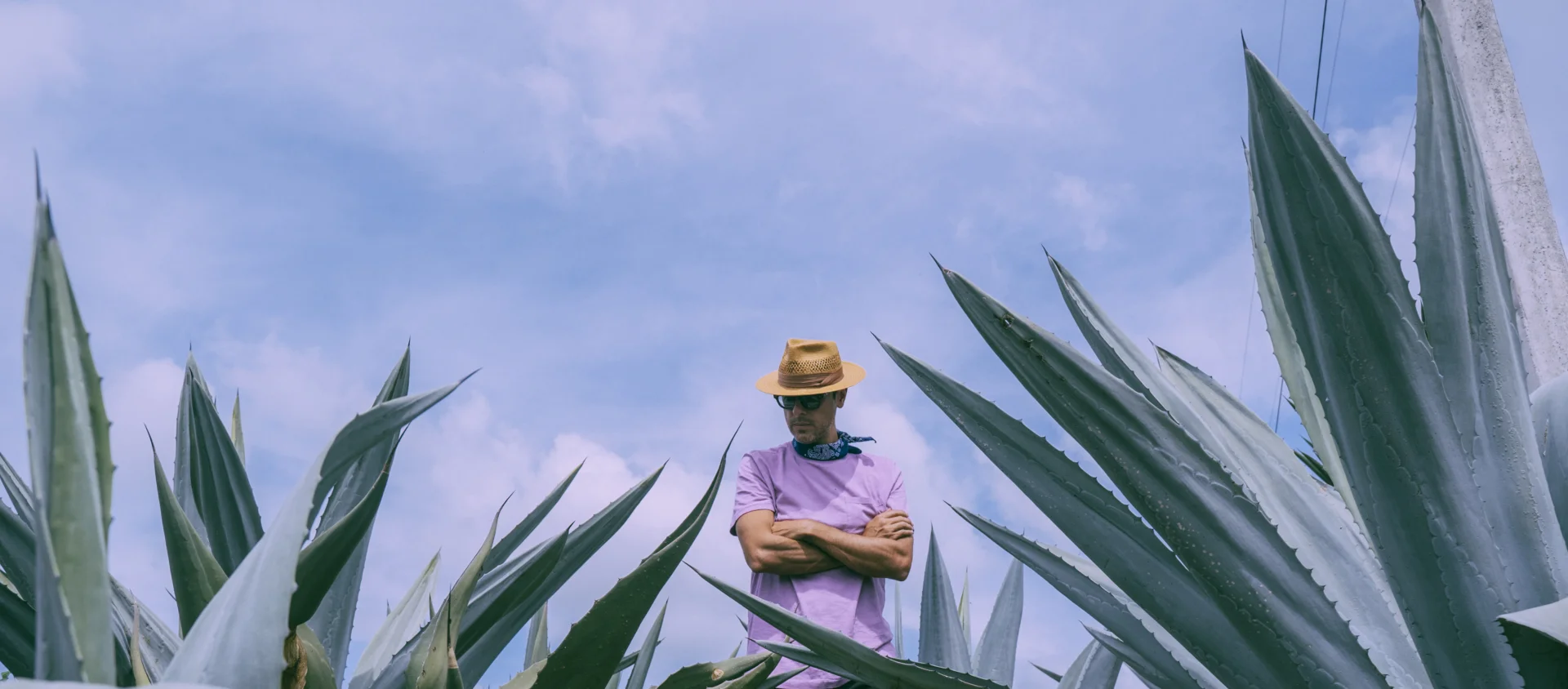 Soundeli event atmosphere with warm lighting